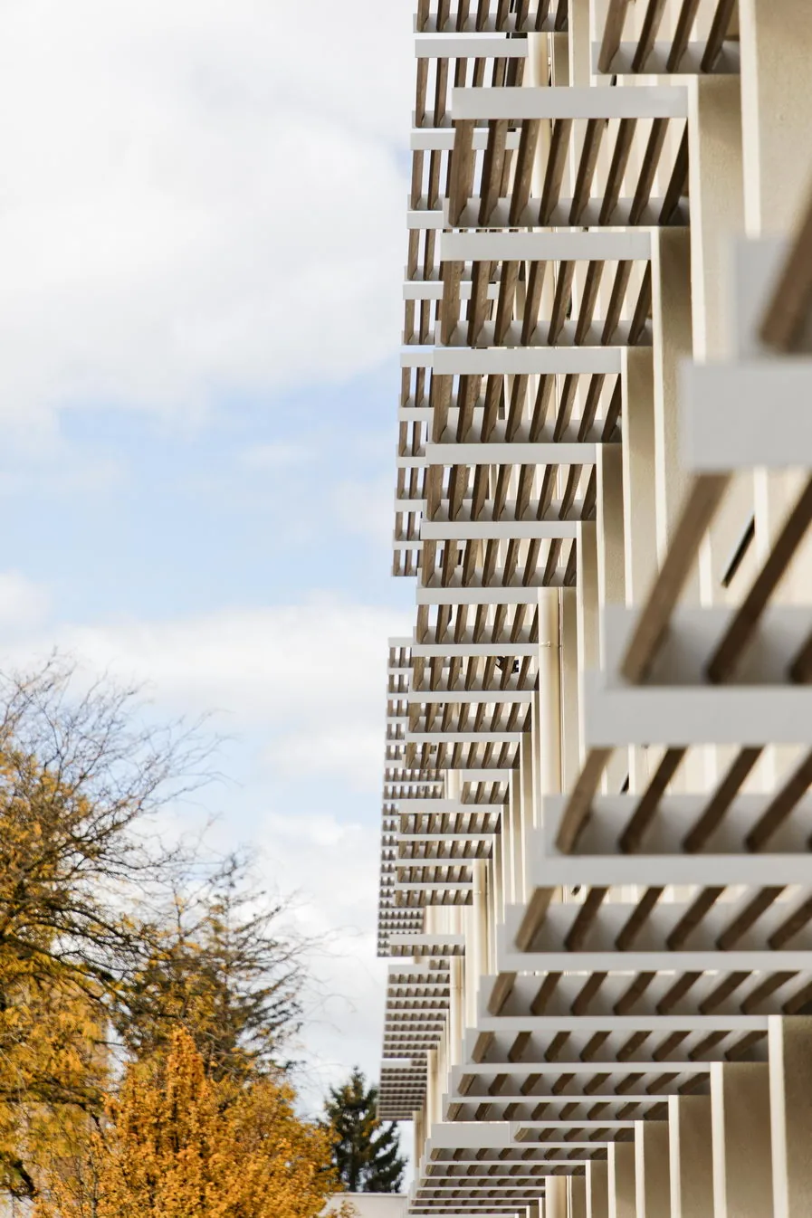 Groupe scolaire Jean Moulin rénové par Citinéa à Lyon — façade — photographe d'architecture Lyon