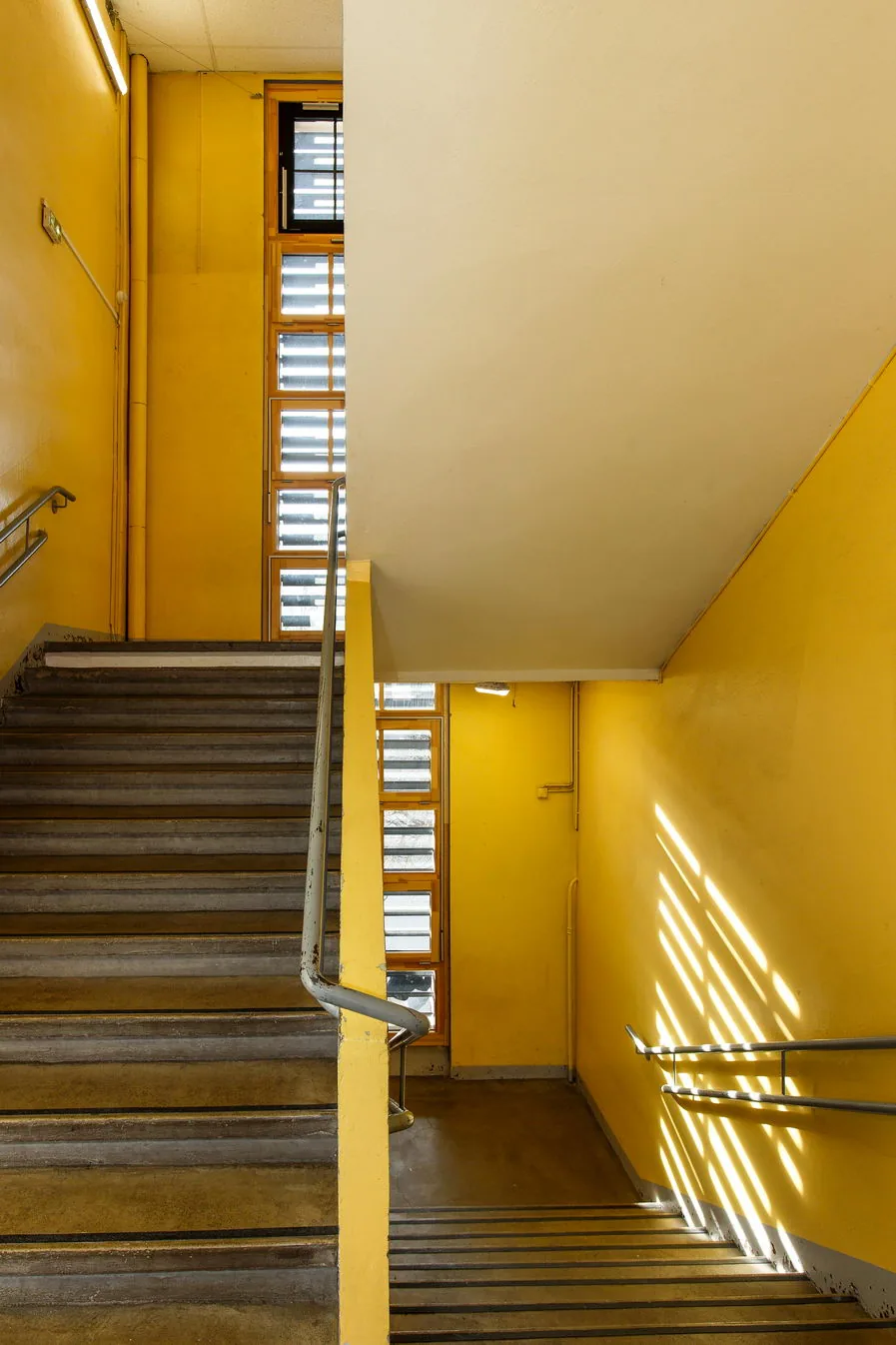 Rénovation du groupe scolaire Léon Jouhaux pour Citinéa à Lyon — photographe d'architecture