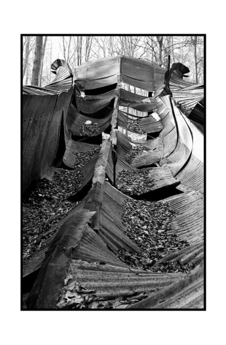 Tirage argentique lyon